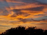 20210923_185721(0).jpg