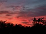 20210923_190930.jpg