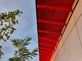 20210924_183639(0).jpg
