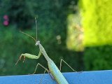 20210925_112920.jpg