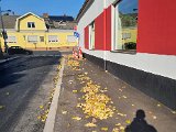 20211031_132947.jpg