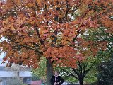 20211103_064615.jpg