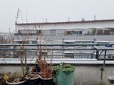 20211126_113733(0).jpg