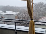 20211126_115900.jpg