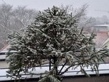 20211126_115917.jpg