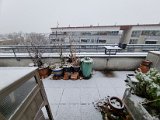 20211126_121114.jpg