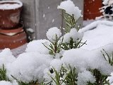 20211126_135156.jpg