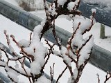 20211126_135228.jpg