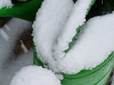 20211126_135240(0).jpg