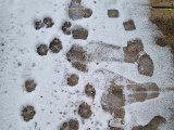 20211127_122651.jpg
