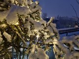 20211209_065718.jpg