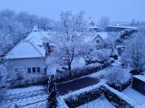 20211209_072537.jpg