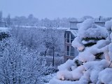 20211209_072615.jpg