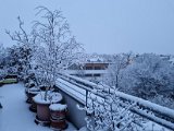 20211209_072711.jpg