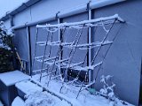 20211209_072728.jpg