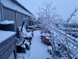 20211209_072735.jpg