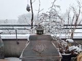20211209_080814.jpg