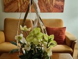 20220127_181229.jpg