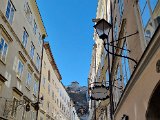 20220312_134101.jpg