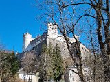 20220312_141021(0).jpg