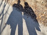 20220312_150100.jpg