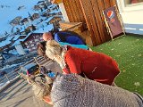 20220313_172110(0).jpg