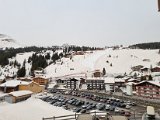 20220316_135229.jpg