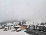 20220318_064129.jpg