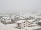 20220318_070749.jpg