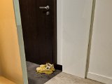 20220423_235539.jpg