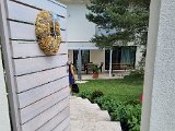 20220515_141505(0).jpg