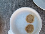 20220516_095208.jpg