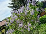 20220516_120405.jpg