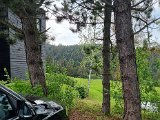 20220517_172639(0).jpg