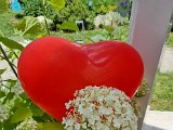 20220626_120701.jpg