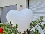 20220626_120711.jpg