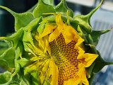 20220701_092551.jpg