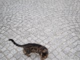 20220701_193454(0).jpg