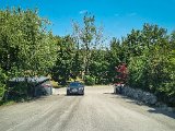 20220703_111317(0).jpg