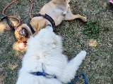 20220703_130925(0).jpg
