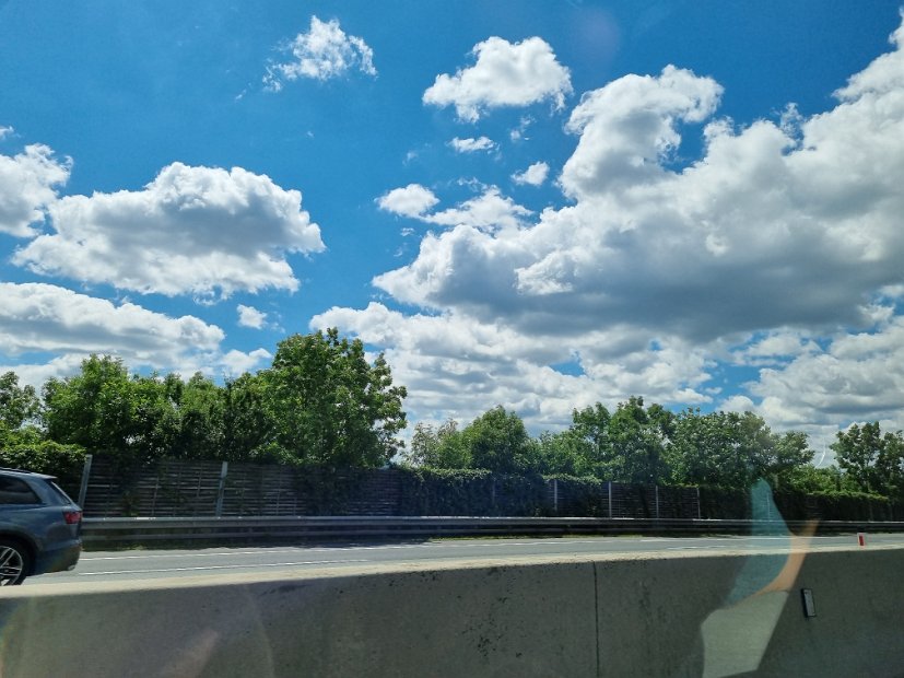 20220709_115441(0)