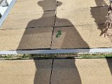 20220709_172418.jpg