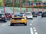 20220710_140549.jpg