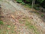 20220723_142818.jpg