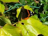 20220723_180532.jpg