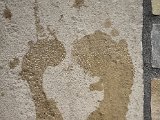 20220814_113407(0).jpg