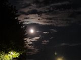 20220814_230439.jpg
