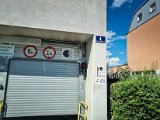 20220815_150933(0).jpg