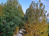 20220827_064033.jpg