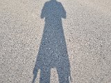 20221016_152926.jpg